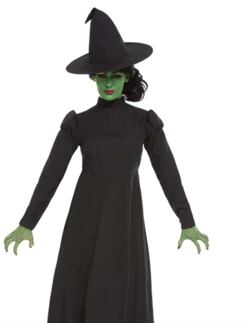 Wicked Witch Costume